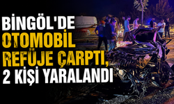 Bingöl'de Otomobil Refüje Çarptı, 2 Kişi Yaralandı
