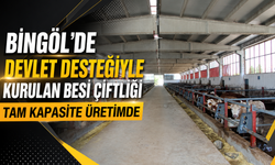 Bingöl'de Devlet Desteğiyle Kurulan Besi Çiftliği Tam Kapasite Üretimde