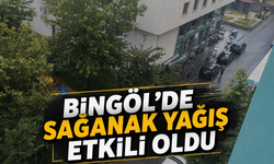Bingöl’de Sağanak Yağış Etkili Oldu