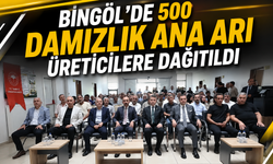 Bingöl’de 500 Damızlık Ana Arı Üreticilere Dağıtıldı