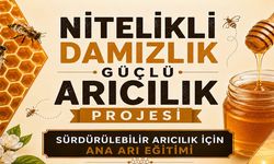Bingöl’de Sürdürülebilir Arıcılık için Ana Arı Eğitimi