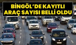 Bingöl’de Kayıtlı Araç Sayısı Belli Oldu