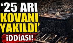 Solhan'da 25 Arı Kovanı Kül Oldu!