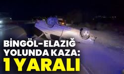 Bingöl-Elazığ Yolunda Kaza: 1 Yaralı