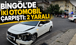 Bingöl'de İki Otomobil Çarpıştı: 2 Yaralı