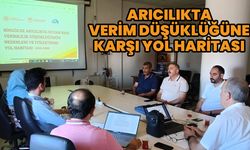 Bingöl'de Arıcılıkta Verimliliğin İyileştirilmesi Konulu Toplantı