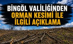 Bingöl Valiliğinden Orman Kesimi İle İlgili Açıklama