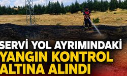 Servi Yol Ayrımındaki Yangın Kontrol Altına Alındı
