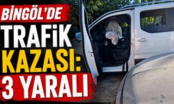 Bingöl'de Trafik Kazası: 3 Yaralı