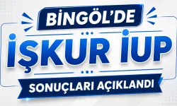 Bingöl İŞKUR İUP’ta Asil Adaylar Açıklandı: 24 Kişinin İsim Listesi Belli Oldu