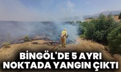 Bingöl'de 5 Ayrı Noktada Yangın Çıktı