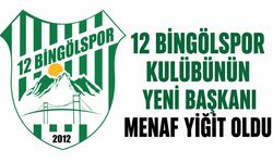 12 Bingölspor Kulübünün Yeni Başkanı Belli Oldu