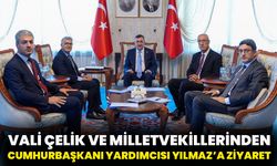 Vali Çelik ve Milletvekillerinden Cumhurbaşkanı Yardımcısı Yılmaz’a Ziyaret