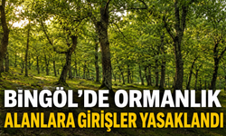 Bingöl’de Ormanlık Alanlara Girişler Yasaklandı