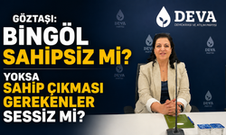 Göztaşı: Bingöl Sahipsiz mi? Yoksa Sahip Çıkması Gerekenler Sessiz mi?