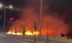 Diyarbakır'da Ot Yangını, Geceyi Gündüze Çevirdi