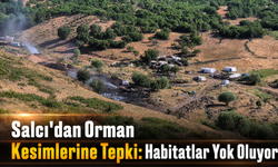 Salcı'dan Orman Kesimlerine Tepki: Habitatlar Yok Oluyor