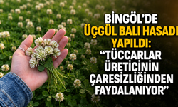 Bingöl’de Üçgül Balı Hasadı Yapıldı: “Tüccarlar Üreticinin Çaresizliğinden Faydalanıyor”