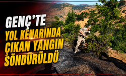 Genç'te Yol Kenarında Çıkan Yangın Söndürüldü