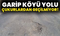 Garip Köyü Yolu Çukurlardan Geçilmiyor!