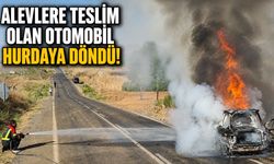 Genç'te Alevlere Teslim Olan Otomobil Hurdaya Döndü!