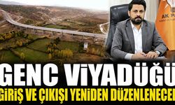 Genç Viyadüğü Giriş ve Çıkışı Yeniden Düzenlenecek
