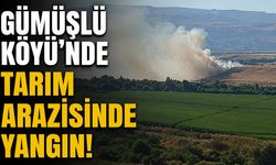 Gümüşlü Köyü'ndeki Yangın Ekiplerin Müdahalesiyle Söndürüldü