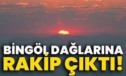 Bingöl Dağlarına Rakip Çıktı