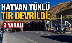 Bingöl-Elazığ Karayolunda Hayvan Yüklü Tır Devrildi: 2 Yaralı