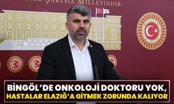 Bingöl’de Onkoloji Doktoru Yok, Hastalar Elazığ’a Gitmek Zorunda Kalıyor