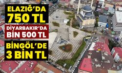 Elazığ’da 750 TL, Diyarbakır’da Bin 500 TL, Bingöl’de 3 Bin TL