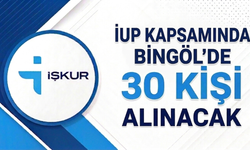 İUP Kapsamında Bingöl’de 30 Kişi Alınacak