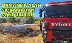 Kılçadır Köyü'nde Örtü Yangını Ormana Sıçramadan Söndürüldü