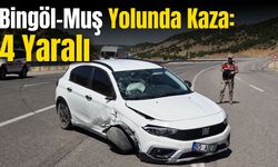 Bingöl-Muş Yolunda Kaza: 4 Yaralı