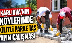 Karlıova’nın Köyünde Kilitli Parke Taşı Çalışması