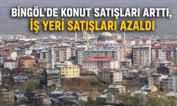 Bingöl’de Konut Satışları Arttı, İş Yeri Satışları Azaldı