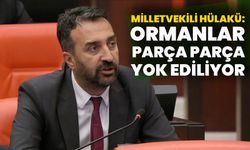 Milletvekili Hülakü: Bingöl’de Ormanlar Parça Parça Yok Ediliyor