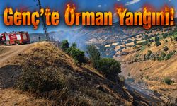 Genç’te Orman Yangını!