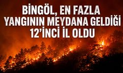 Bingöl, En Fazla Orman Yangınının Meydana Geldiği 12’inci İl Oldu