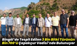 Bingöl’de Tespit Edilen 3 Bin Bitki Türünün Bin 700’ü Çapakçur Vadisi’nde Bulunuyor