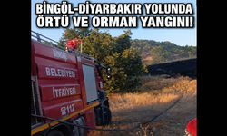 Bingöl'de Örtü Yangını Ormana Sıçradı!