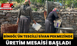 Dut Ağacından Sofraya Uzanan Tescilli Sivan Pekmezinde Mesai Başladı