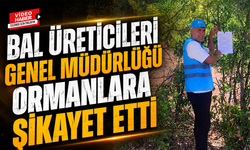 Bal Üreticileri Genel Müdürlüğü Ormanlara Şikayet Etti!