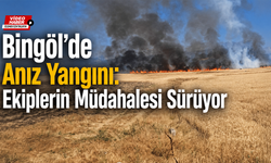 Bingöl’de Anız Yangını!