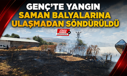 Genç’te Yangın Saman Balyalarına Ulaşmadan Söndürüldü