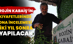 Rojin Kabaiş’in Kıyafetlerinde DNA İncelemesi İki Yıl Sonra Yapılacak