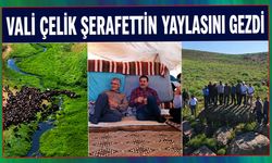 Vali Çelik Şerafettin Yaylasını Gezdi