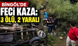 Bingöl'de Feci Kaza: 3 Ölü, 2 Yaralı