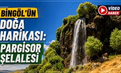 Bingöl'ün Doğa Harikası: Pargisor Şelalesi