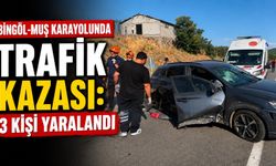 Bingöl-Muş Karayolunda Trafik Kazası: 3 Kişi Yaralandı